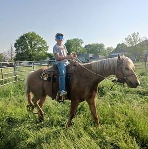 Meet your Posher, Hunter